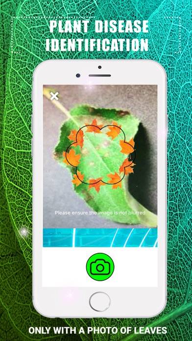 Plants Disease Identification Schermata dell'app #2