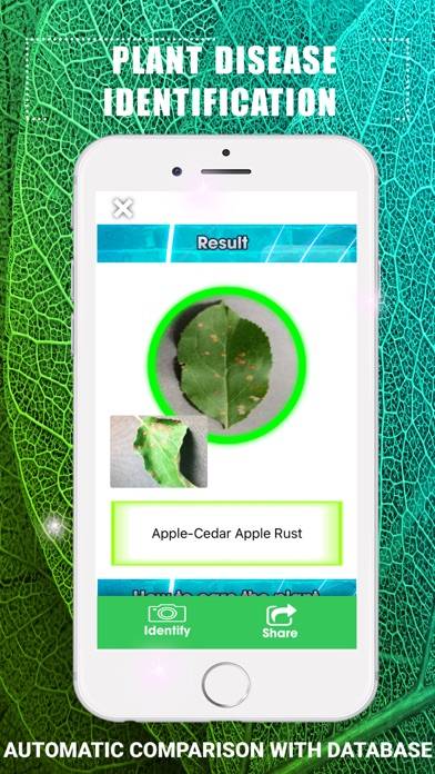 Plants Disease Identification Schermata dell'app #3