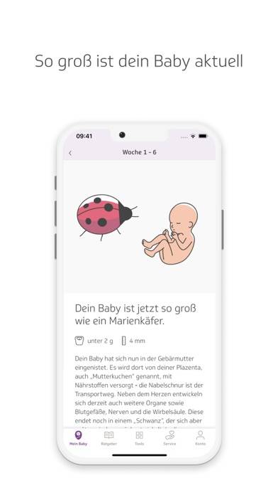 TK-BabyZeit App-Screenshot #2