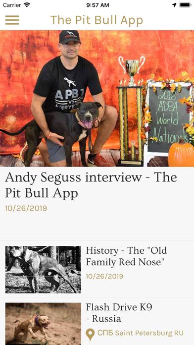 The Pit Bull App Schermata dell'app #1