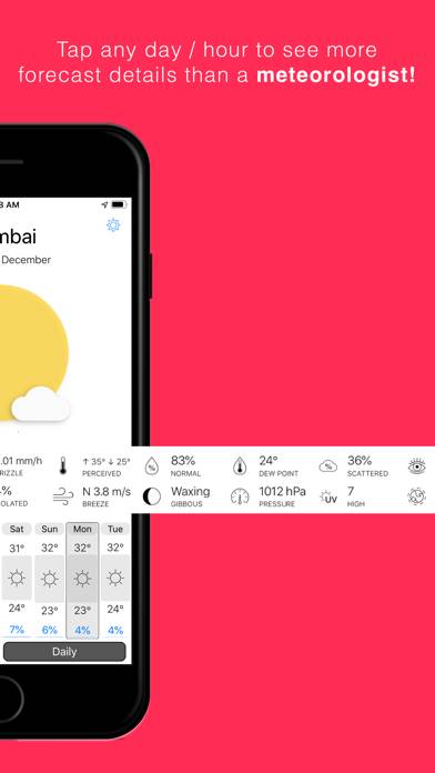 Icon Weather App screenshot #4