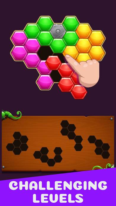 Hexa Grid Puzzle App-Screenshot #1
