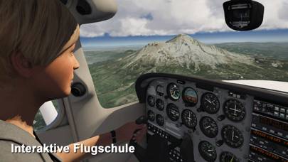 Aerofly FS 2020 Captura de pantalla de la aplicación #2