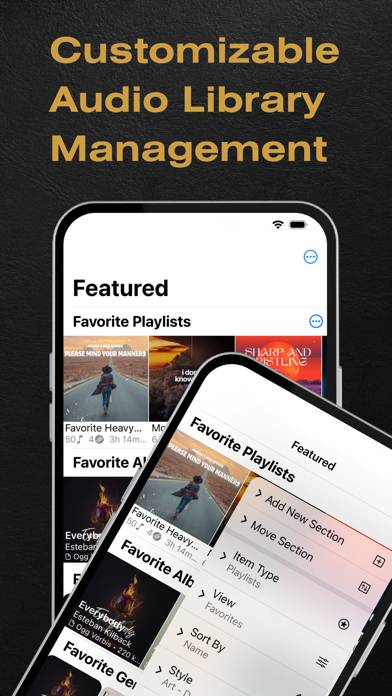 BTR AMP Offline Musikplayer App-Screenshot