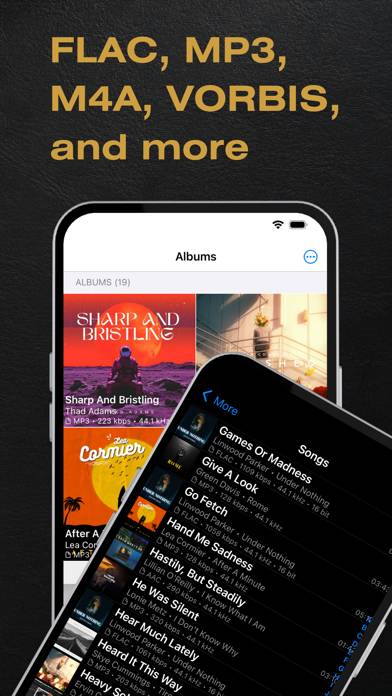 BTR AMP Offline Musikplayer App-Screenshot