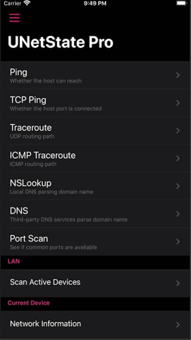 UNetState Pro-Ping,Trace,DNS App skärmdump