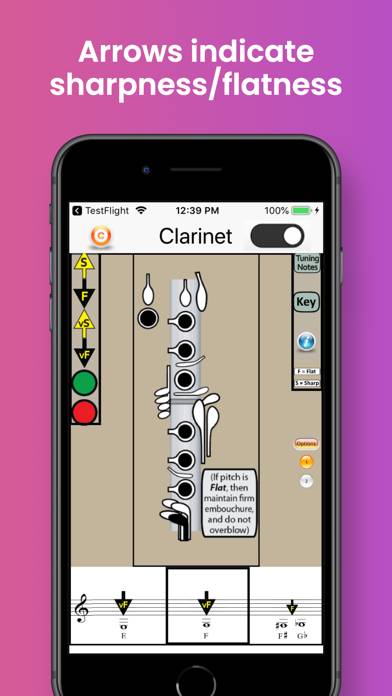 Clarinet Fingering & Tuning App screenshot #2