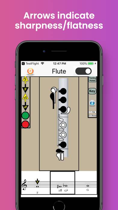 Flute Fingering & Tuning App screenshot #2