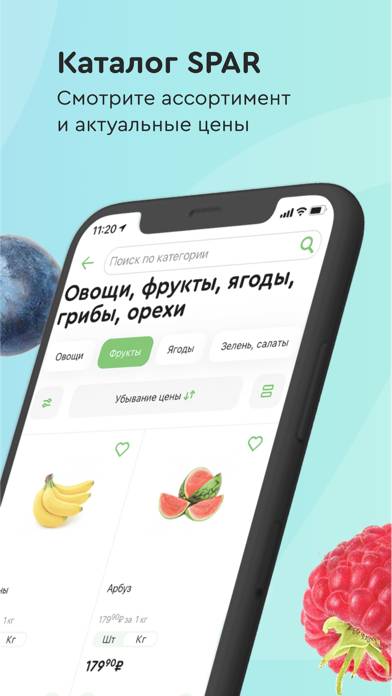 Мой Spar  продукты и доставка Скриншот приложения