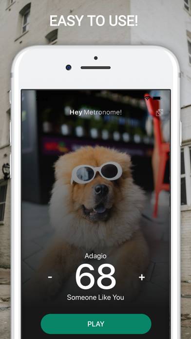 AudioKit Hey Metronome App-Screenshot #5
