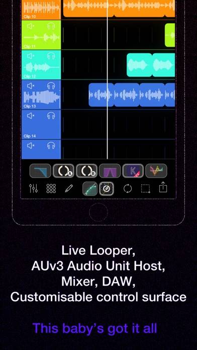 Loopy Pro: Looper DAW Sampler Capture d'écran de l'application #5