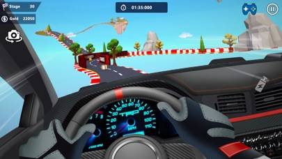 Car Stunts 3D Скриншот приложения #6