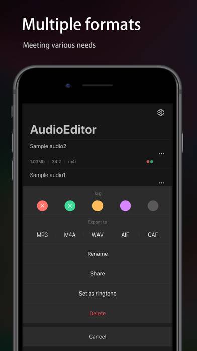 Audio Editor Uygulama ekran görüntüsü #5