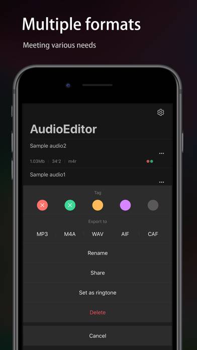 AudioÉditeur Capture d'écran de l'application