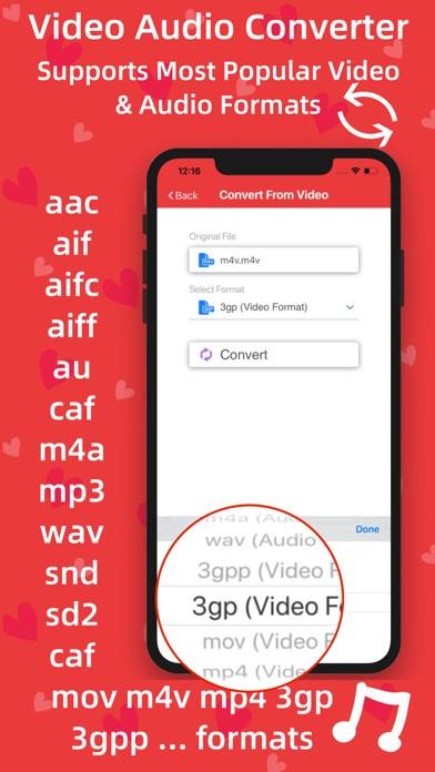 Video Audio Converter Pro Captura de pantalla de la aplicación #3
