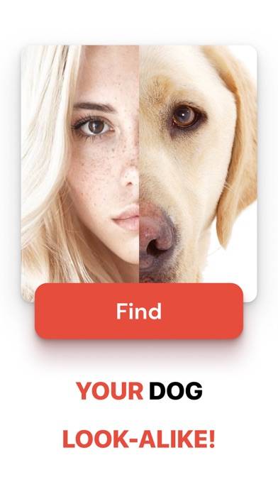 What Dog Do I Look Like ? Twin App screenshot #1