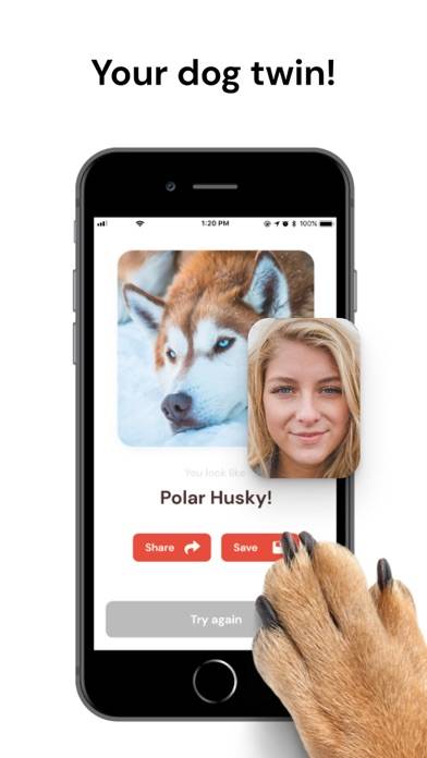 What Dog Do I Look Like ? Twin App screenshot #2