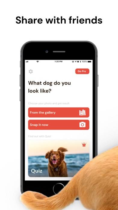 What Dog Do I Look Like ? Twin App screenshot #5