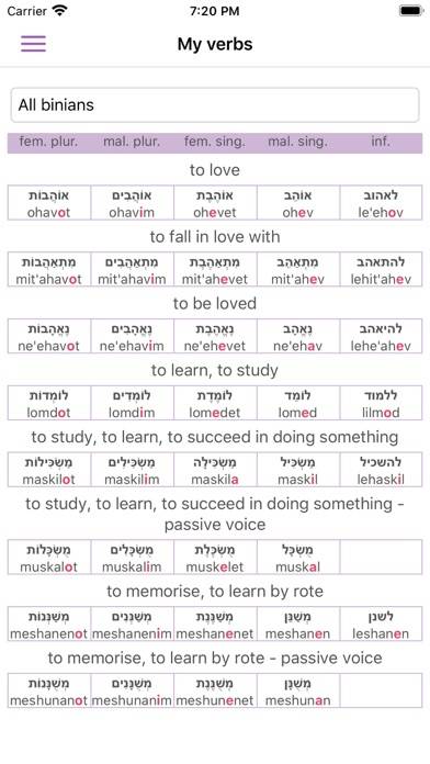 All Hebrew Verbs Captura de pantalla de la aplicación