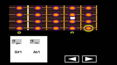Bass Guitar Notes PRO Schermata dell'app #2