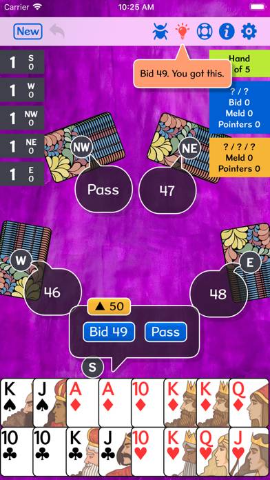 5-Handed Pinochle plus game screenshot