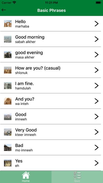 Learn Arabic Syrian Dialect Ea App-Screenshot #3