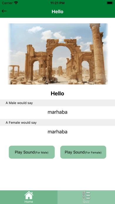 Learn Arabic Syrian Dialect Ea App screenshot #4