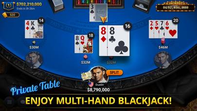 Blackjack Championship App skärmdump #5
