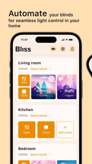 Bliss Smart Blinds