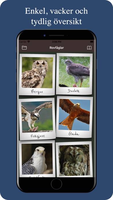 Våra fåglar App skärmdump #2