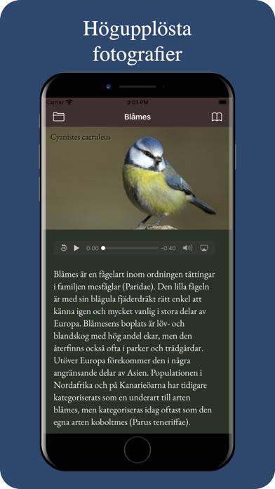 Våra fåglar App skärmdump #3