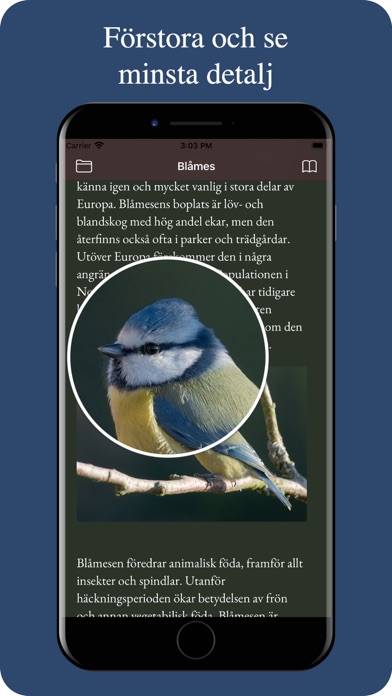 Våra fåglar App skärmdump #4