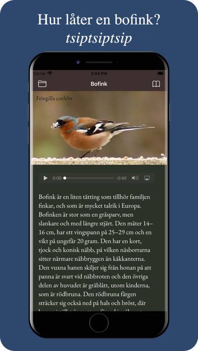 Våra fåglar App skärmdump #5