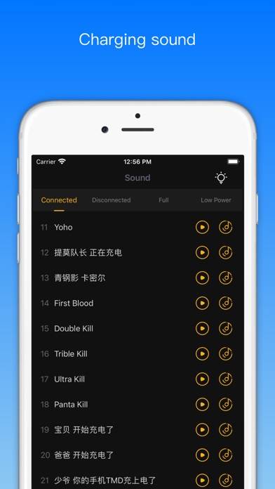 Charger Master Pro App-Screenshot #4
