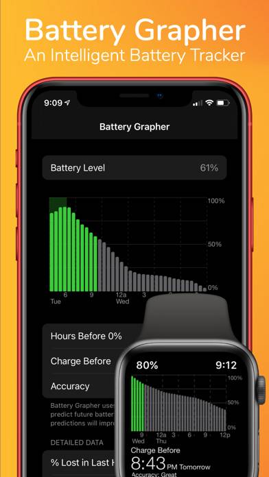 Battery Grapher App skärmdump #1