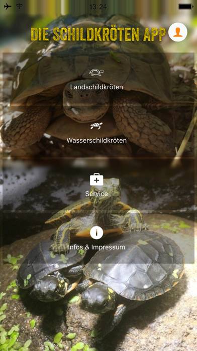 Die Schildkröten App App screenshot #1