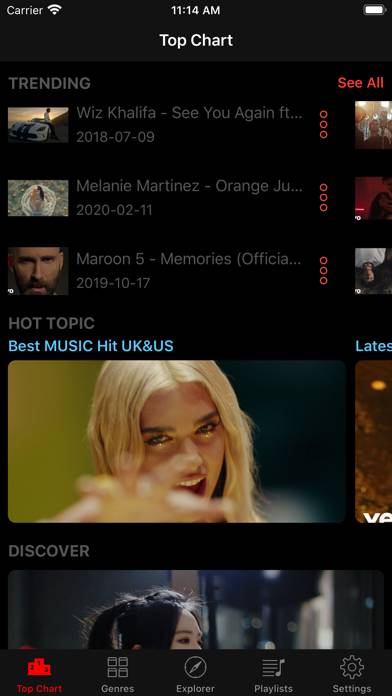 VidPlay - Music Video Streamer screenshot