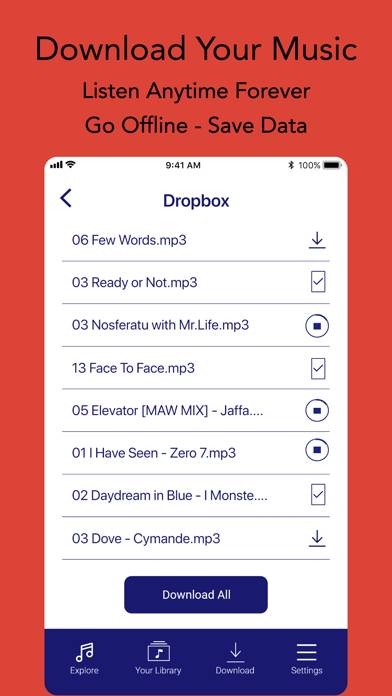Offline Music App-Screenshot #2