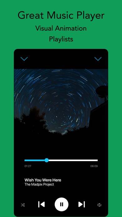 Offline Music App-Screenshot #3