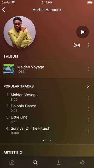 Plexamp App screenshot