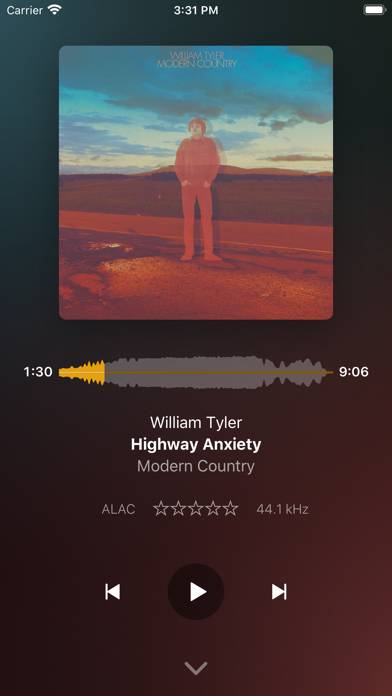 Plexamp App screenshot