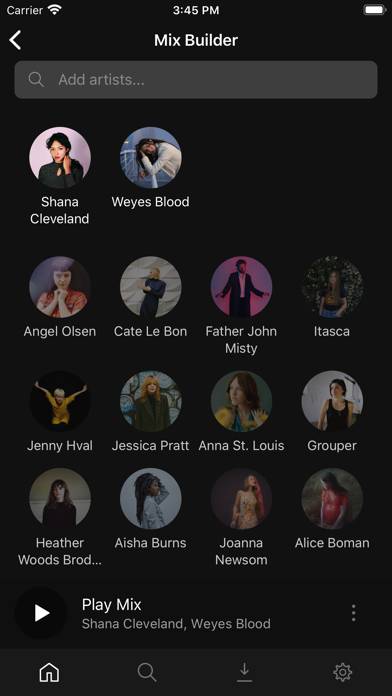 Plexamp App screenshot