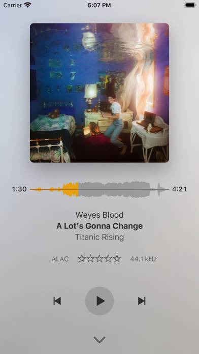 Plexamp App screenshot