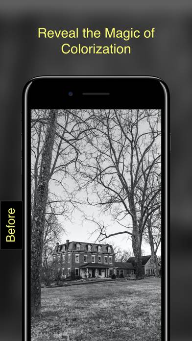 Colorize Old Photos: Pholorize Captura de pantalla de la aplicación #3