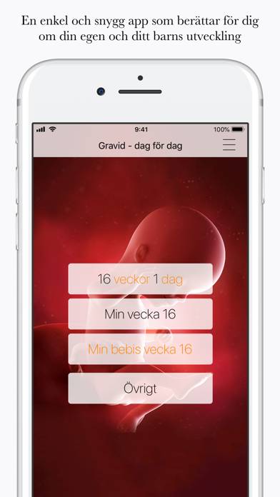 Gravid App skärmdump #1