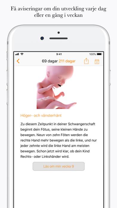 Gravid App skärmdump #3