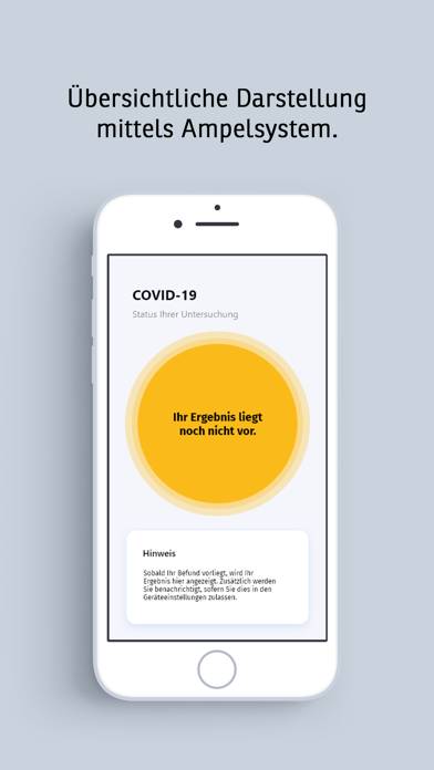 Covid-19 App-Screenshot #1