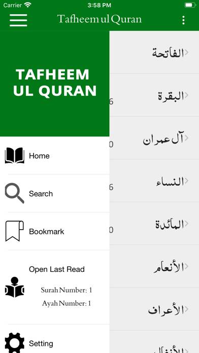 Tafheem ul Quran App screenshot #1