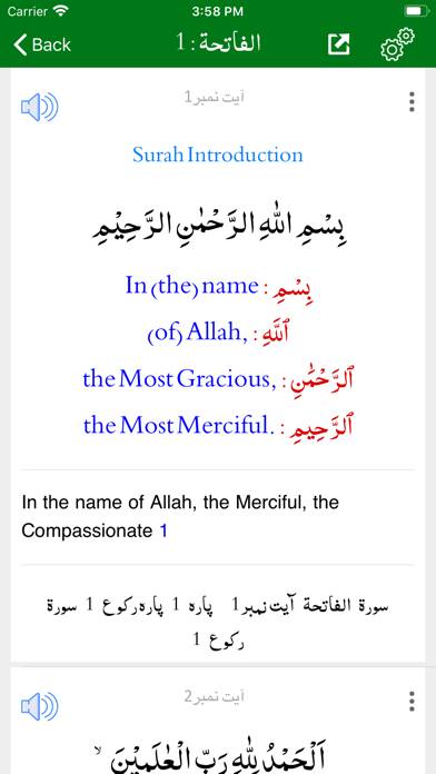 Tafheem ul Quran App screenshot #3