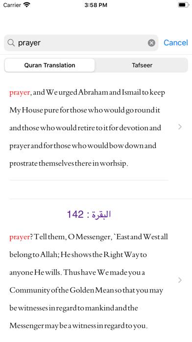 Tafheem ul Quran App screenshot #5
